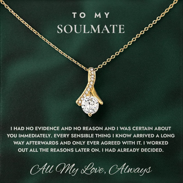 Knew Before I Knew Ashby Bow Necklace for soulmate